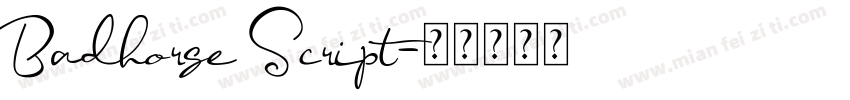 Badhorse Script字体转换
